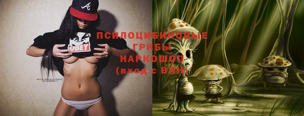 ешки Белокуриха