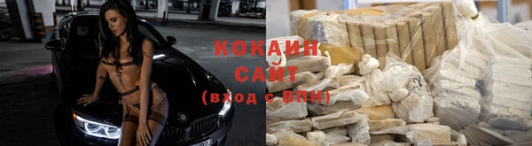 эйфоретик Беломорск