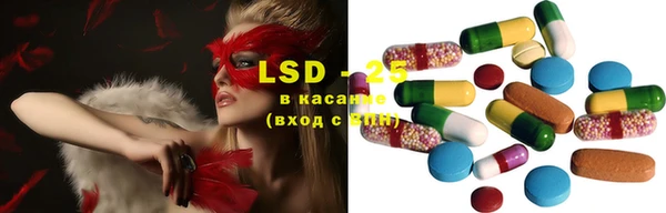 ешки Белокуриха
