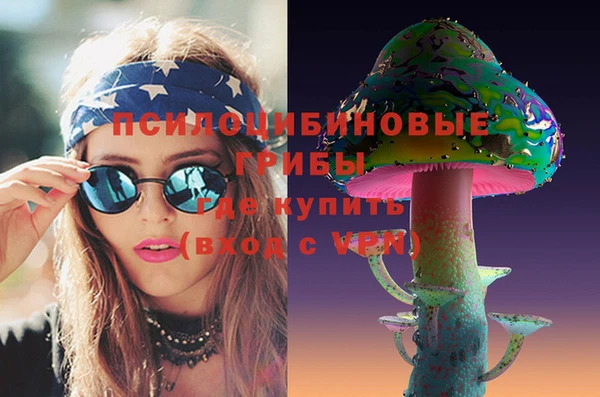 ПСИЛОЦИБИНОВЫЕ ГРИБЫ Семёнов