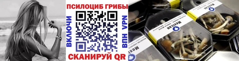 Псилоцибиновые грибы Cubensis где купить наркотик Железноводск